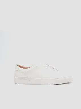 Ivan Sneakers
