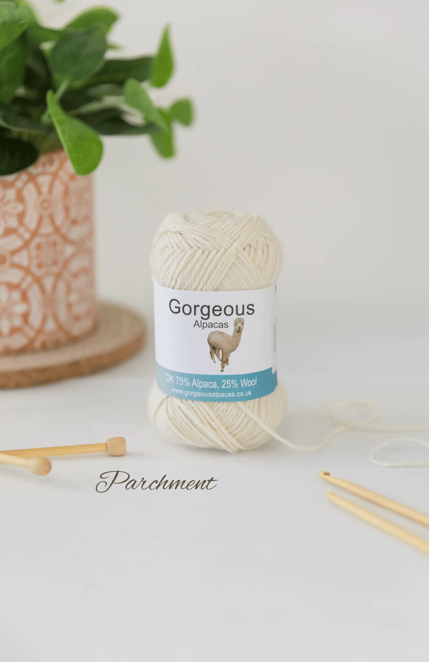 Knit Kit - Beginners Sampler Scarf